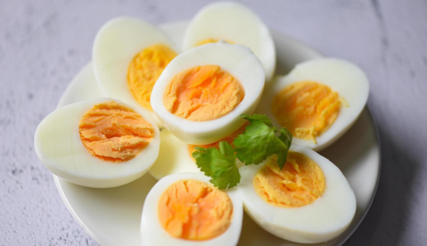 wp header logo17748432191014983184