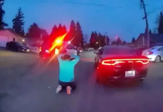 wp header logo177484683098177740