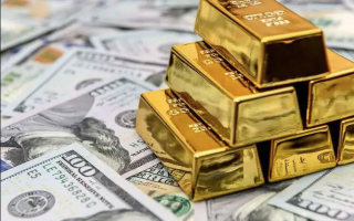 wp header logo1774850409135796446