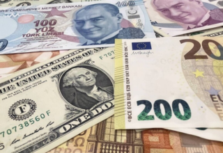 wp header logo17748576171885158180