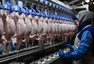 wp header logo1774861210777832024