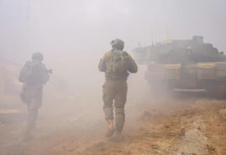 wp header logo17748684101641394574