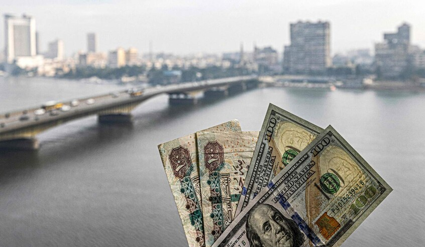 wp header logo1774875608342514891