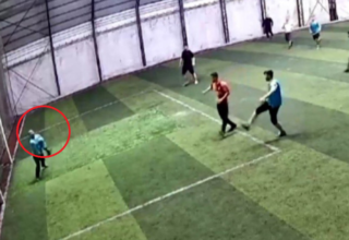 wp header logo1774882901899720443