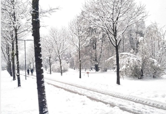 wp header logo17748864091091352598