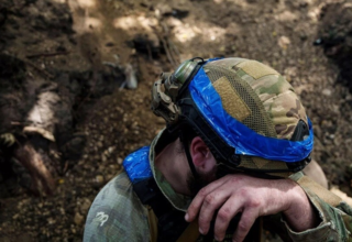 wp header logo177491881574472065