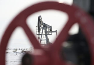 wp header logo1774944018315255374