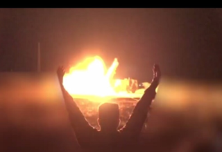 wp header logo17749440421824088724