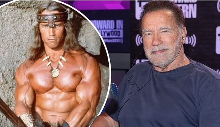 wp header logo17749476111334941634