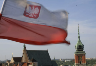 wp header logo17749512711959402468