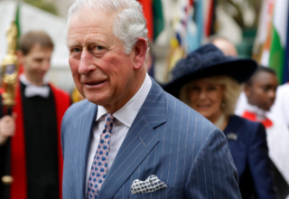 wp header logo1774962013726778781