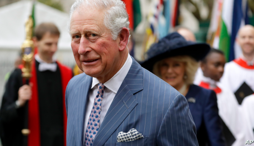 wp header logo1774962013726778781