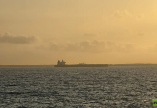 wp header logo1774969211962766278