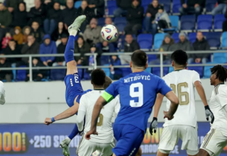 wp header logo17749836121750518181