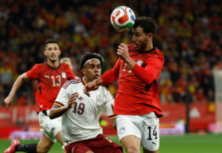 wp header logo17749980301117523451