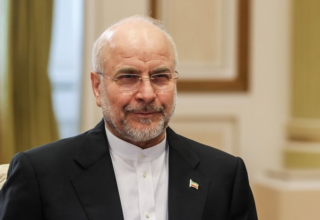 wp header logo1775005210766384602