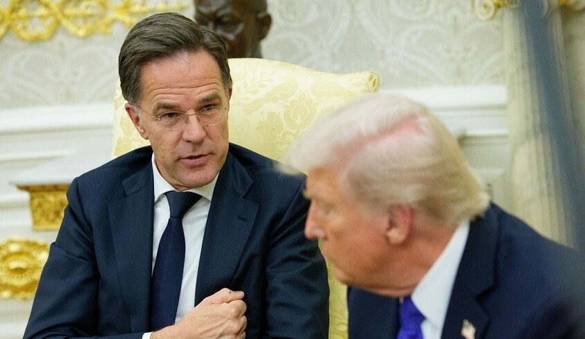 wp header logo17750376791253449348