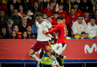 wp header logo17750484481624189309