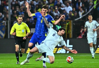 wp header logo1775062832121852385