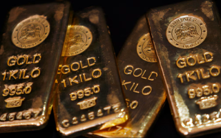 wp header logo1775073610531013184