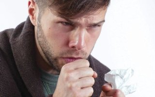 wp header logo17750916212023815964