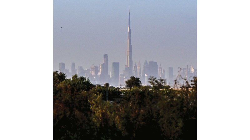 wp header logo17750916251730767374