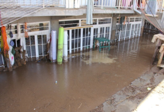 wp header logo17751096451798545944