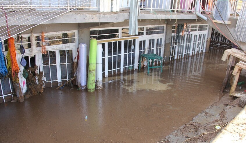 wp header logo17751096451798545944