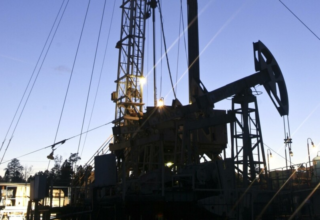 wp header logo1775116840481418731