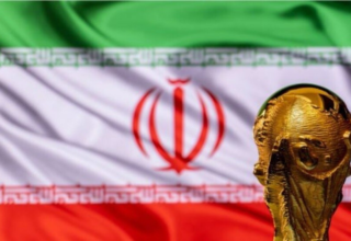 wp header logo17751276141611114049