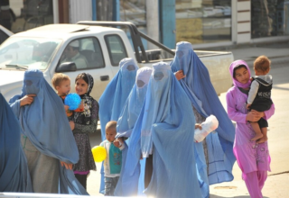 wp header logo177514922010525750