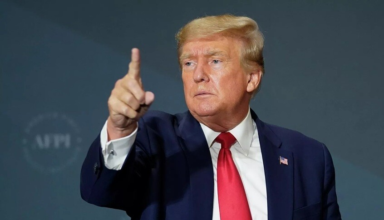 wp header logo17751528291263443773