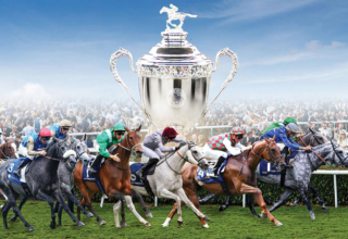 wp header logo17751780181659801275