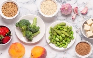 wp header logo17751924131116368870