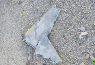 wp header logo17751960861849450201