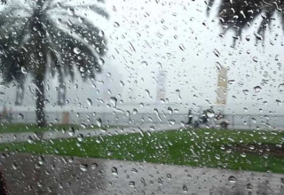 wp header logo1775206811140845288