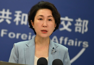 wp header logo1775210417443680049