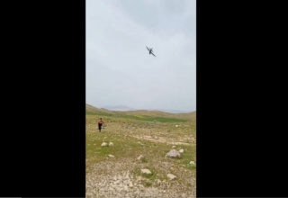 wp header logo17752356291478889397