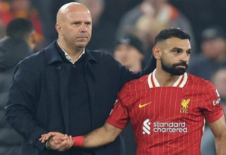 wp header logo17752608111729363450