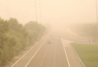 wp header logo17752968081330801337