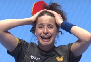 wp header logo1775300415403003662