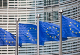 wp header logo17753040071167357099