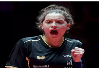 wp header logo1775304010495918972