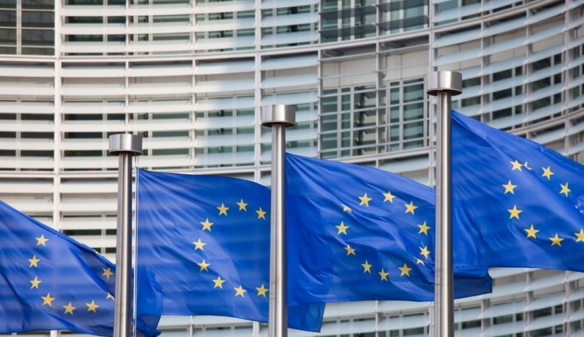 wp header logo1775311208367083460