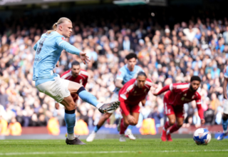 wp header logo17753112101222430734