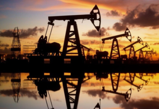 wp header logo17753220111209855807