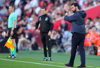 wp header logo17753328141544918586