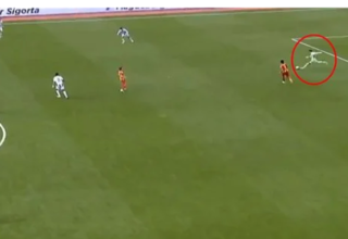 wp header logo17753364161252255040