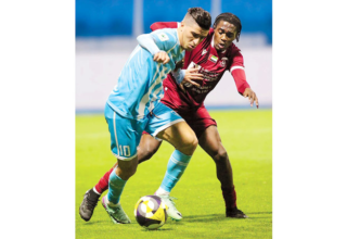 wp header logo17753508132108461186