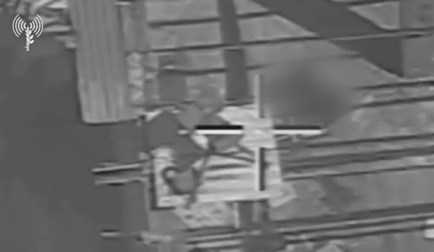 wp header logo177537241045424117